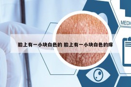 臉上有一小塊白色的 臉上有一小塊白色的癢