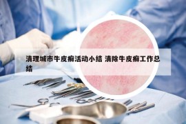 清理城市牛皮癬活動小結 清除牛皮癬工作總結