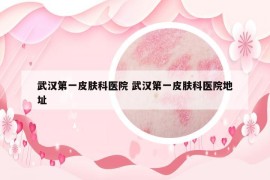 武漢第一皮膚科醫(yī)院 武漢第一皮膚科醫(yī)院地址