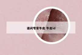 請問專家牛皮 牛皮id