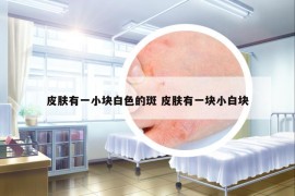 皮膚有一小塊白色的斑 皮膚有一塊小白塊