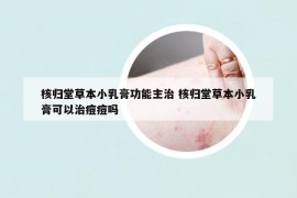 核歸堂草本小乳膏功能主治 核歸堂草本小乳膏可以治痘痘嗎
