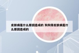 皮膚病是什么原因造成的 狗狗得皮膚病是什么原因造成的