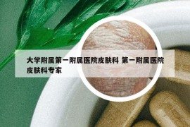 大學(xué)附屬第一附屬醫(yī)院皮膚科 第一附屬醫(yī)院皮膚科專家