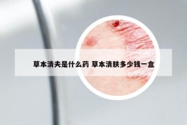 草本清夫是什么藥 草本清膚多少錢一盒