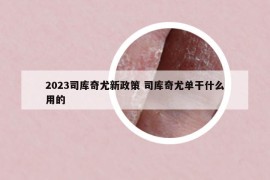 2023司庫奇尤新政策 司庫奇尤單干什么用的