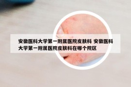 安徽醫(yī)科大學(xué)第一附屬醫(yī)院皮膚科 安徽醫(yī)科大學(xué)第一附屬醫(yī)院皮膚科在哪個(gè)院區(qū)