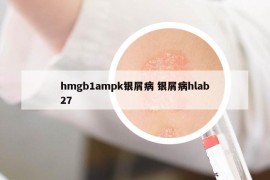 hmgb1ampk銀屑病 銀屑病hlab27