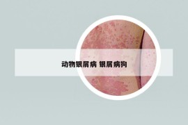 動物銀屑病 銀屑病狗