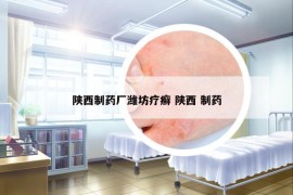 陜西制藥廠濰坊療癬 陜西 制藥