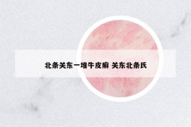 北條關(guān)東一堆牛皮癬 關(guān)東北條氏