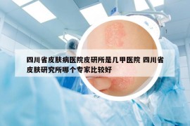 四川省皮膚病醫(yī)院皮研所是幾甲醫(yī)院 四川省皮膚研究所哪個(gè)專家比較好