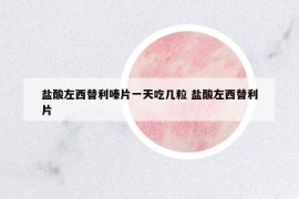 鹽酸左西替利嗪片一天吃幾粒 鹽酸左西替利片