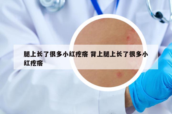 腿上長了很多小紅疙瘩 背上腿上長了很多小紅疙瘩