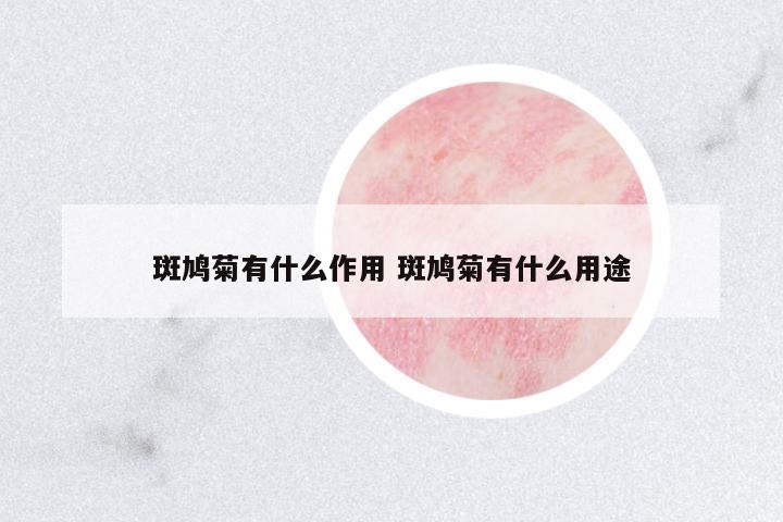 斑鳩菊有什么作用 斑鳩菊有什么用途