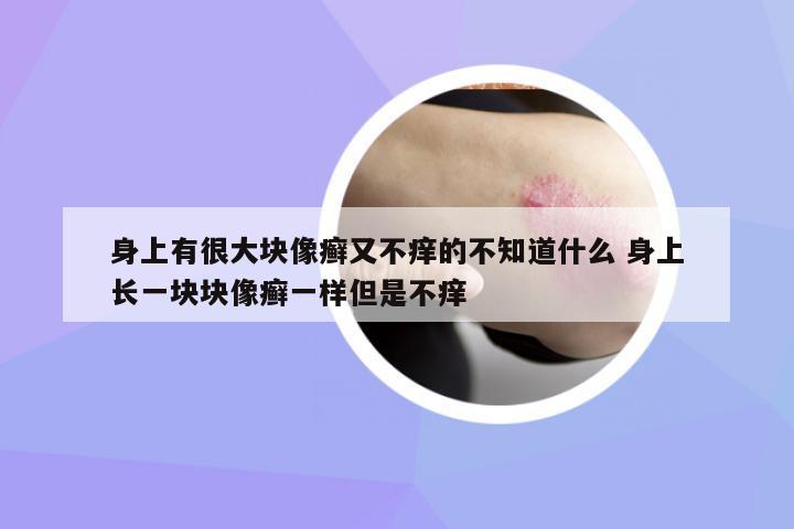 身上有很大塊像癬又不癢的不知道什么 身上長一塊塊像癬一樣但是不癢
