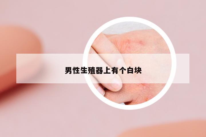 男性生殖器上有個白塊