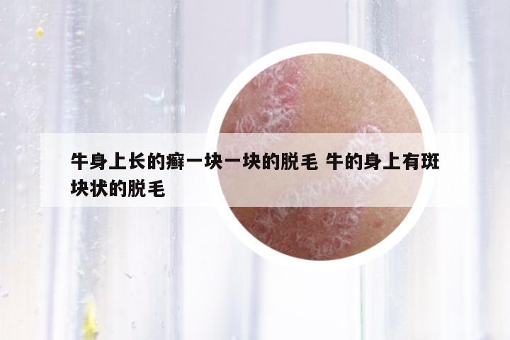 牛身上長(zhǎng)的癬一塊一塊的脫毛 牛的身上有斑塊狀的脫毛